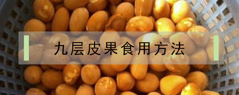 九層皮果食用方法