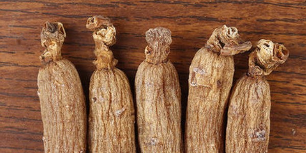 干人參冷藏還是冷凍