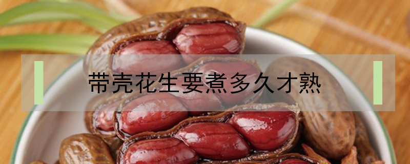 帶殼花生要煮多久才熟