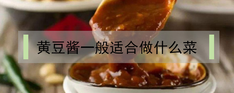 黃豆醬一般適合做什么菜
