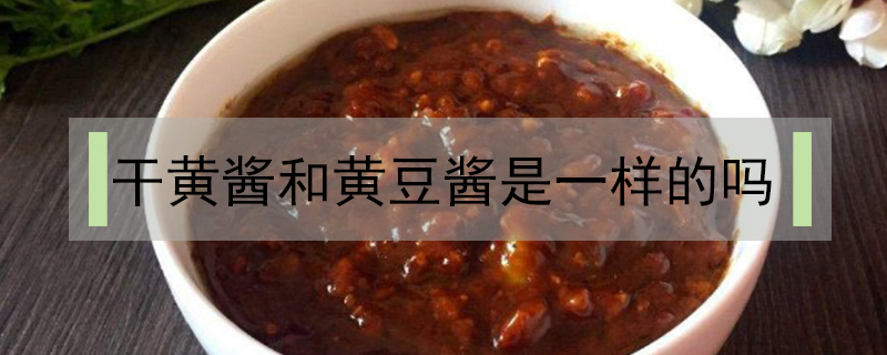 干黃醬和黃豆醬是一樣的嗎