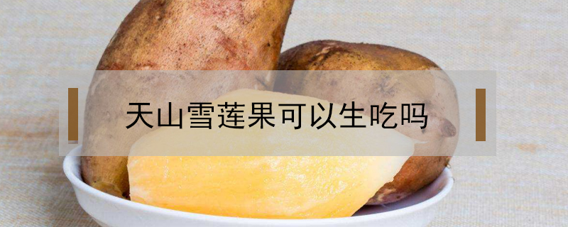 天山雪蓮果可以生吃嗎