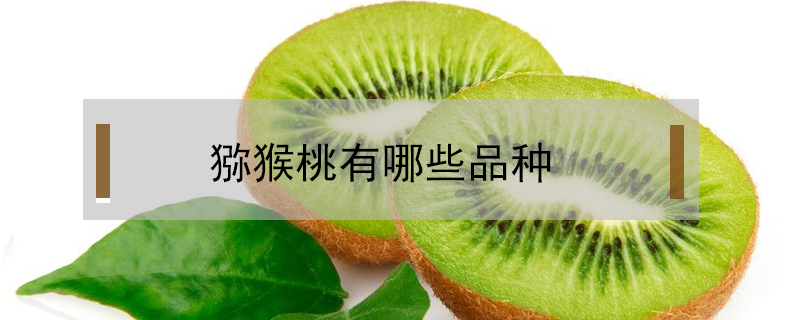 獼猴桃有哪些品種