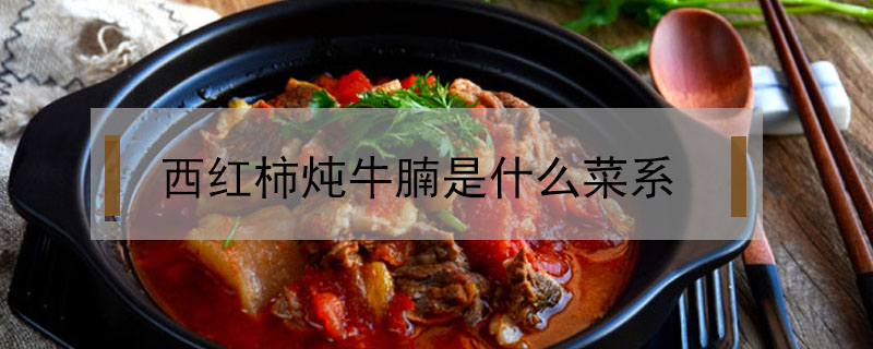 西紅柿燉牛腩是什么菜系