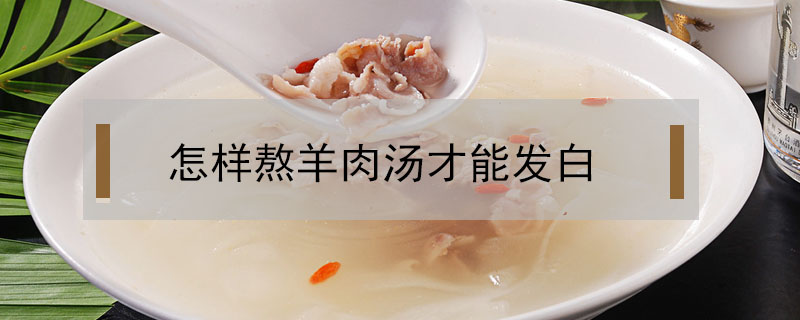 怎樣熬羊肉湯才能發白