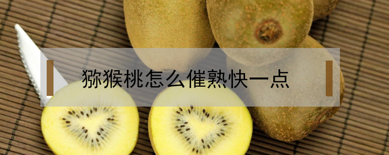獼猴桃怎么催熟快一點