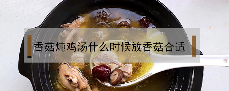 香菇燉雞湯什么時候放香菇合適