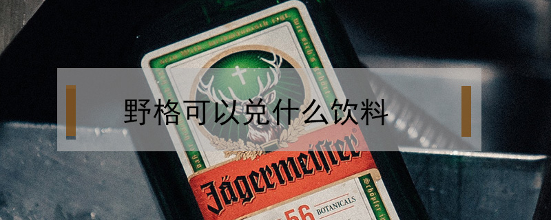 野格可以兌什么飲料