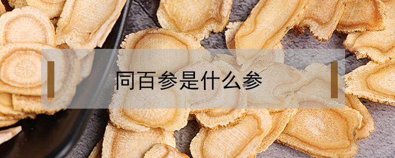 同百參是什么參