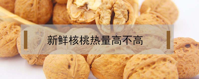 新鮮核桃熱量高不高