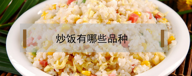 炒飯有哪些品種