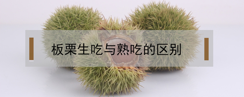 板栗生吃與熟吃的區別