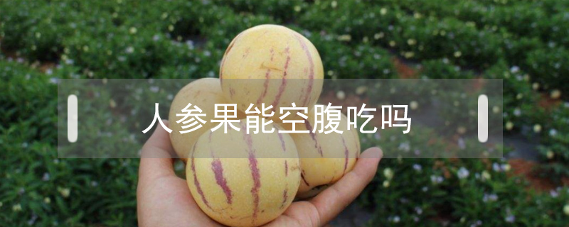 人參果能空腹吃嗎