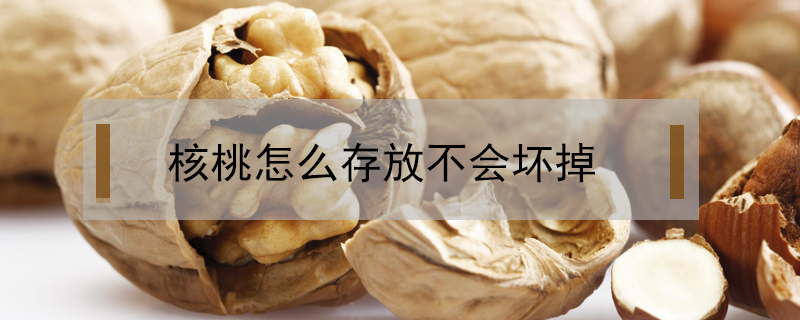 核桃怎么存放不會壞掉
