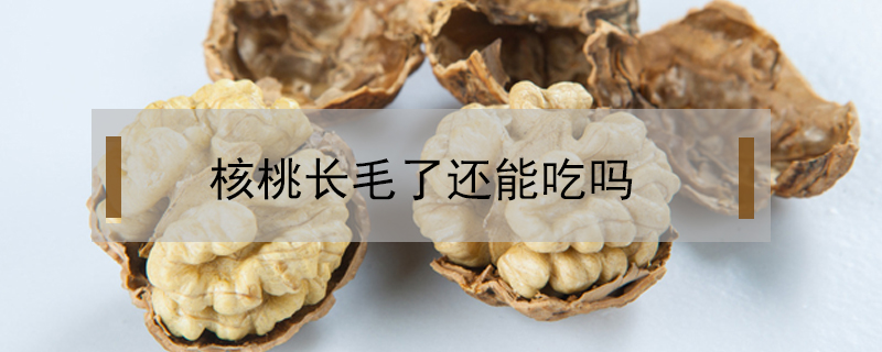 核桃長毛了還能吃嗎