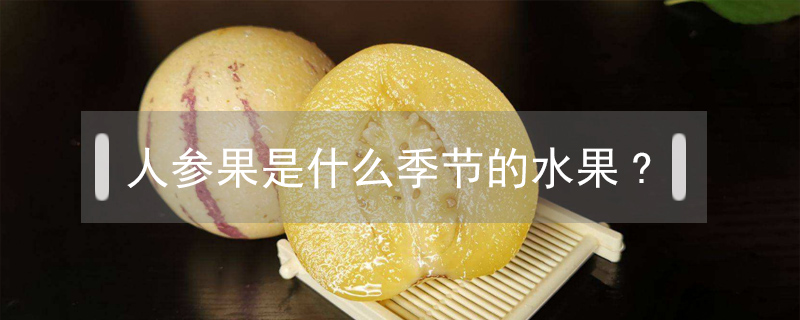 人參果是什么季節的水果?