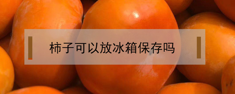 柿子可以放冰箱保存嗎