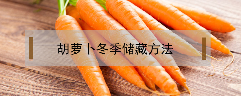 胡蘿卜冬季儲藏方法