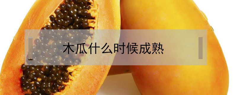 木瓜什么時候成熟