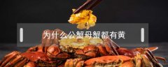 為什么公蟹母蟹都有黃