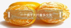 一個橘子大約重多少克