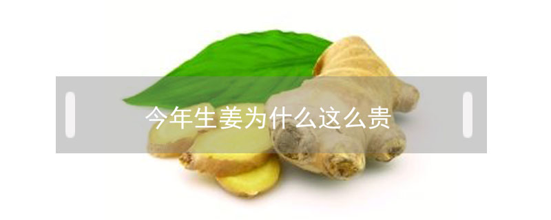 今年生姜為什么這么貴