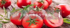 1千克大約有多少個番茄