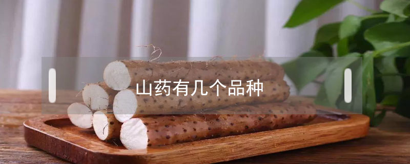 山藥有幾個(gè)品種