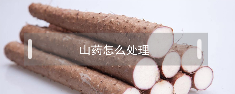 山藥怎么處理