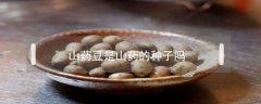 山藥豆是山藥的種子嗎