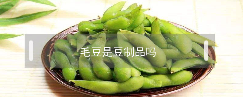 毛豆是豆制品嗎