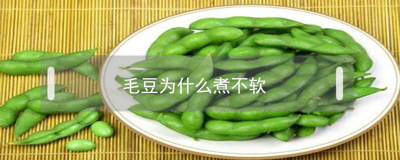 毛豆為什么煮不軟