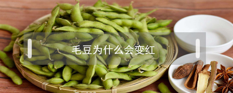 毛豆為什么會變紅