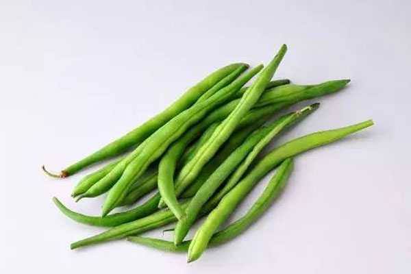 四季豆有幾種