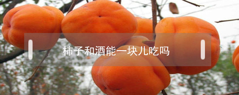 柿子和酒能一塊兒吃嗎