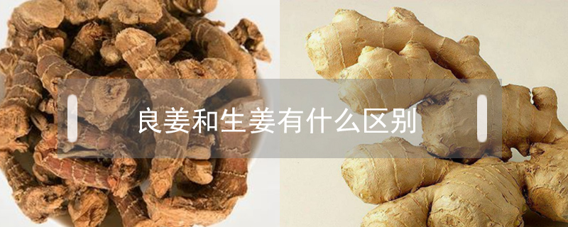 良姜和生姜有什么區(qū)別