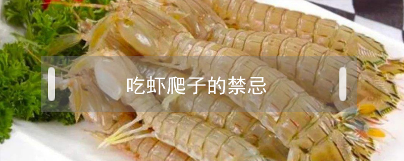 吃蝦爬子的禁忌