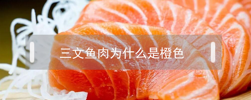 三文魚肉為什么是橙色