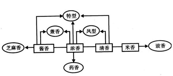 白酒香型分類及特點(diǎn)