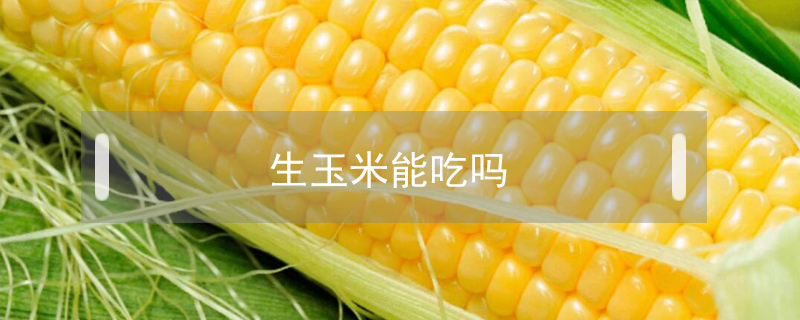 生玉米能吃嗎