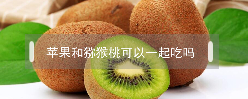 蘋果和獼猴桃可以一起吃嗎