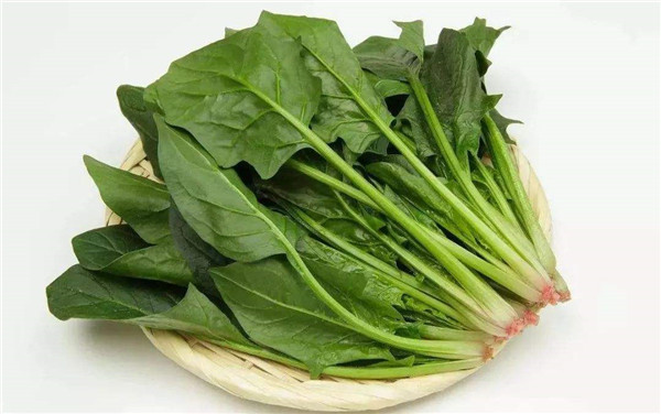 菠菜和奶可以一起吃嗎