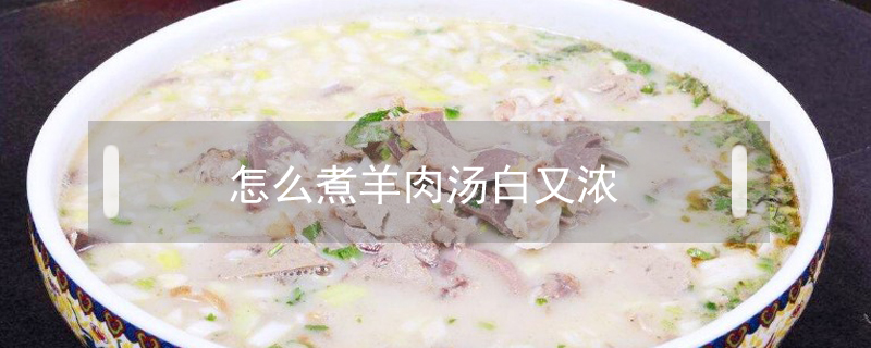 怎么煮羊肉湯白又濃