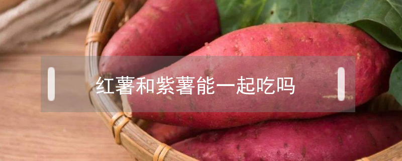 紅薯和紫薯能一起吃嗎