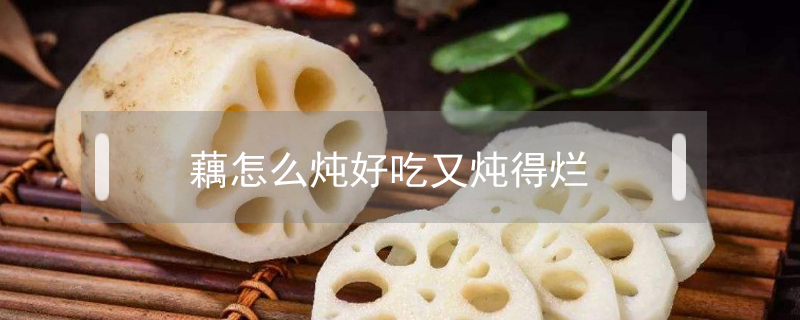 藕怎么燉好吃又燉得爛