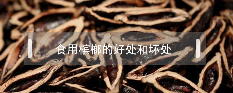 食用檳榔的好處和壞處