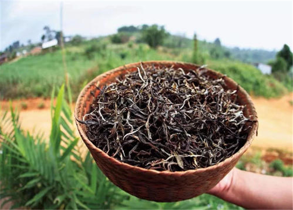 喝普洱茶有什么好處