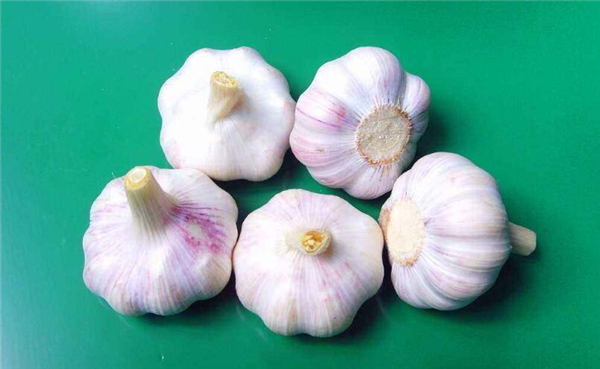 冬季養(yǎng)生必吃十種食物，冬天適合吃什么養(yǎng)生食物