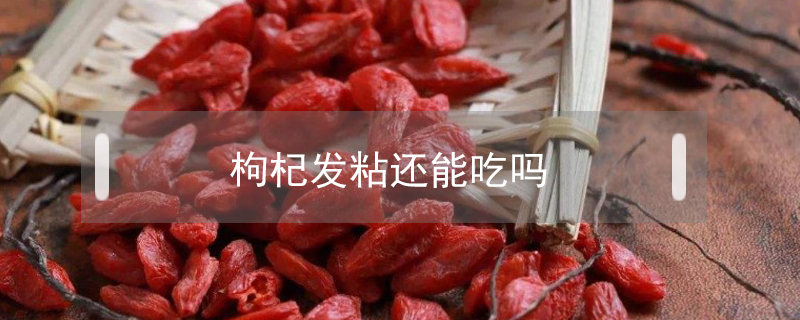 枸杞發(fā)粘還能吃嗎