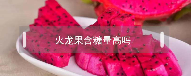 火龍果含糖量高嗎